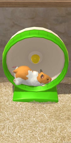 我的倉鼠 我的倉鼠游戲下載