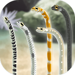 養(yǎng)育花園鰻的治愈游戲