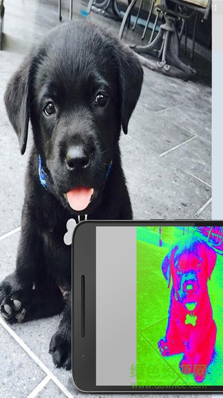 thermal camera熱成像儀app v1.0.0 安卓版 0