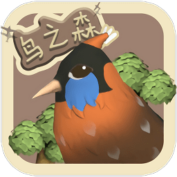 鳥之森(forestofbirds)