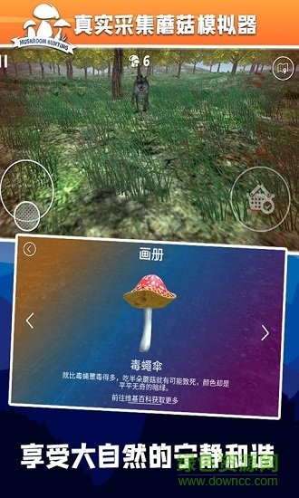 真实采集蘑菇模拟器 真实采集蘑菇模拟器官方游戏下载