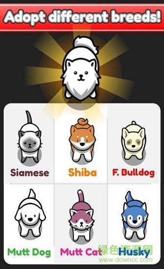 云養(yǎng)寵物手游 v1.85 安卓版 1