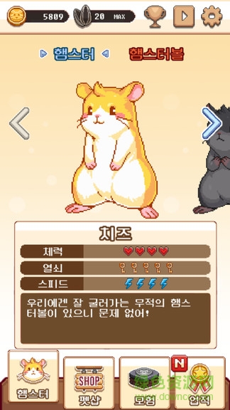 超級倉鼠球 v1.0.5 安卓版 3