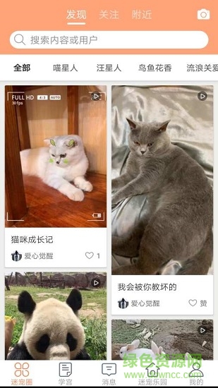 迷寵圈 v1.7 安卓版 0