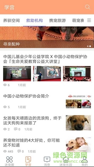 迷寵圈 v1.7 安卓版 1