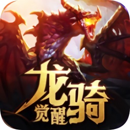 龍騎覺醒游戲