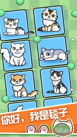 跑跑云養(yǎng)貓