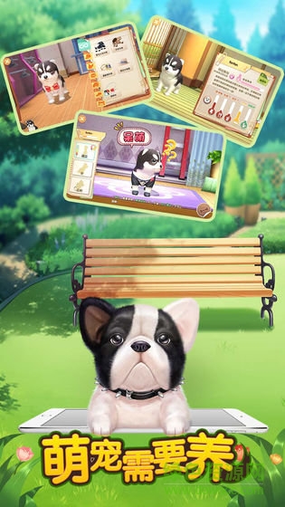 萌寵需要養(yǎng)免費版 v1.0 安卓版 0