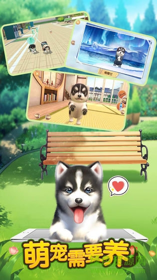 萌寵需要養(yǎng)免費版 v1.0 安卓版 1