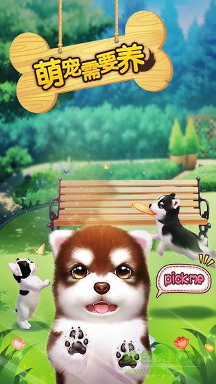萌寵需要養(yǎng)游戲