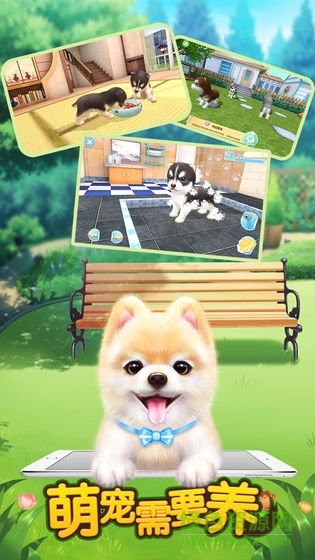 萌寵需要養(yǎng)免費版 v1.0 安卓版 3