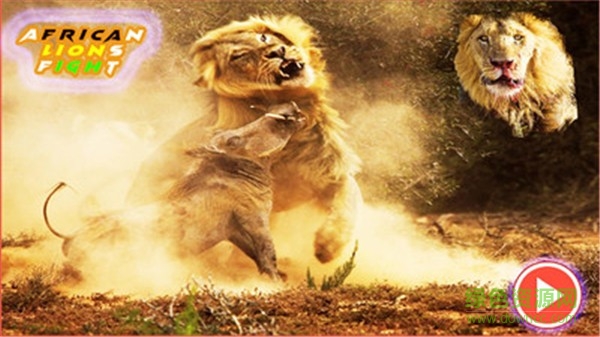 非洲獅模擬器游戲 v2.0.0 安卓版 2