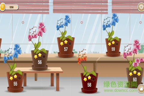 園藝紙牌游戲 v1.0.4 安卓版 2