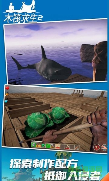 木筏求生2雙人版 v124 安卓手機正版 2