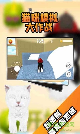 貓咪模擬大作戰(zhàn) v3.5.0 安卓版 0