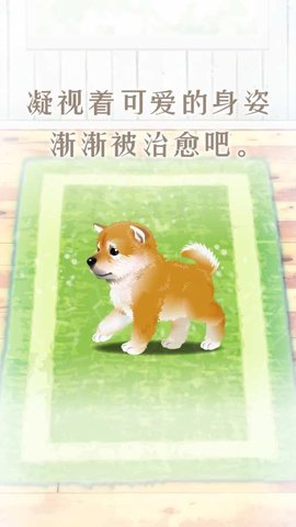 養(yǎng)育柴犬的治愈游戲 v1.1.0 安卓版 1