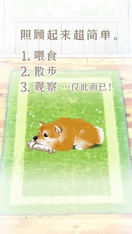 養(yǎng)育柴犬的治愈游戲 v1.1.0 安卓版 0