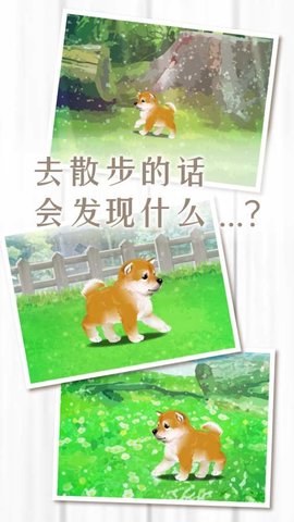 養(yǎng)育柴犬的治愈游戲 v1.1.0 安卓版 4