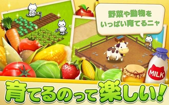 星星岛猫咪手机版下载 星星岛猫咪下载