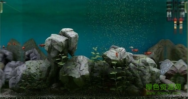 鱼缸模拟器游戏下载 鱼缸模拟器手游下载