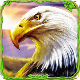 獵鷹模擬器2手游