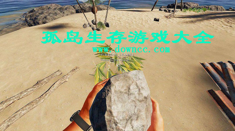 孤島生存
