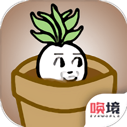 一個(gè)蘿卜一個(gè)盆游戲