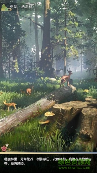 凡人修仙文字游戲 v1.4 安卓版 1