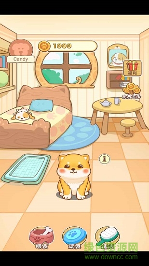 狗狗樂(lè)園下載