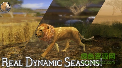 獅子模擬器2020版 v1.0 安卓版 3