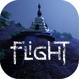 飛行游戲(flight)