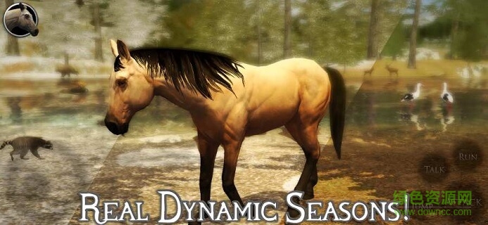 終極野馬模擬器2追風(fēng)漢化版 v1.0 安卓版 1