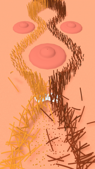 刮脸大赛最新版 刮脸大赛最新版下载