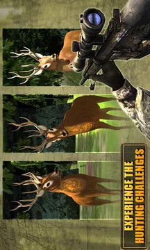 狙擊手獵鹿中文正式版 v4.4 安卓版 0