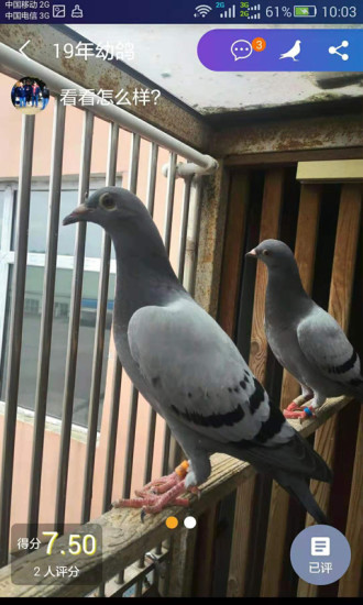 大眾信鴿軟件 v1.2.6 安卓版 3