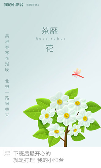 我的小陽臺(tái) 我的小陽臺(tái)游戲下載