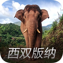 西雙版納亞洲象預警平臺