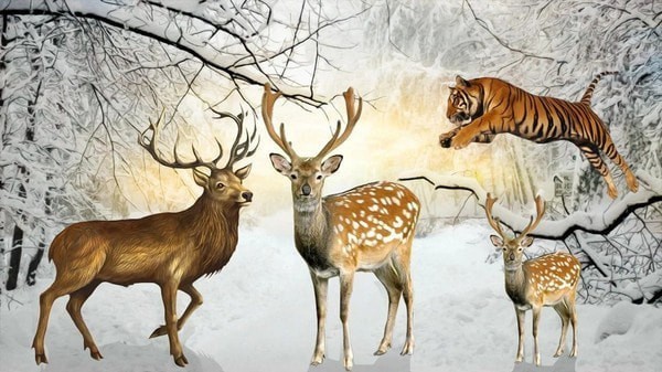 非常野生獵鹿模擬器手游 v1.8 安卓版 0