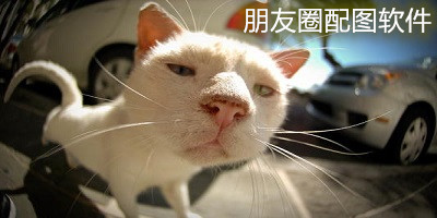 配圖app排行榜前十名-朋友圈配圖app下載-文案配圖app下載