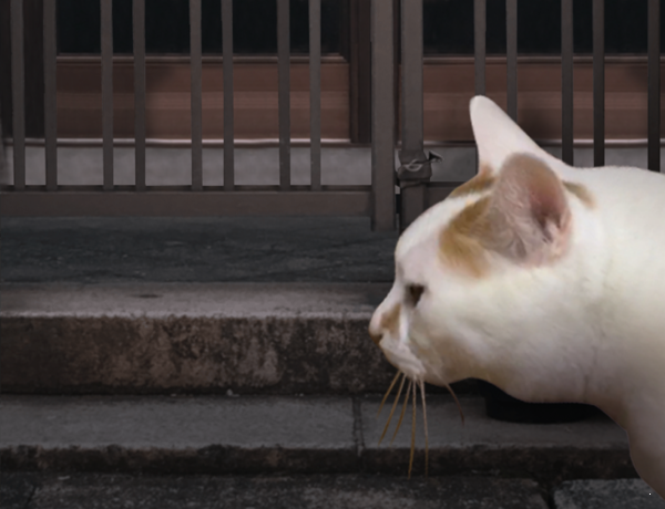 恐怖貓的一天游戲 v1.0 安卓版 2