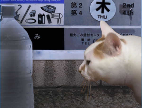 恐怖貓的一天游戲下載