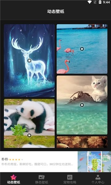 壁紙app