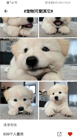 雙馬尾duang app v1.0.0 安卓版 0