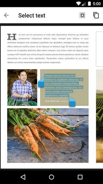 谷歌pdf查看器最新版 v2.19.381.03.80 安卓中文版 2