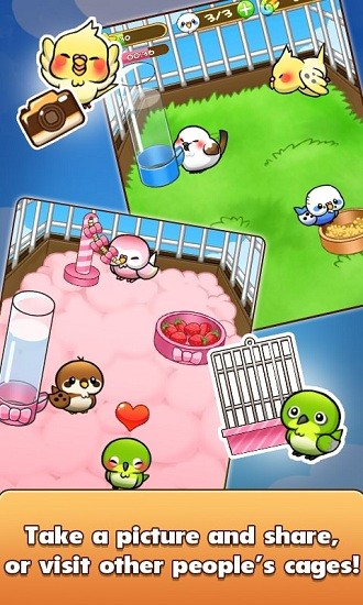 小鳥生活手游 v1.6.16 安卓版 0