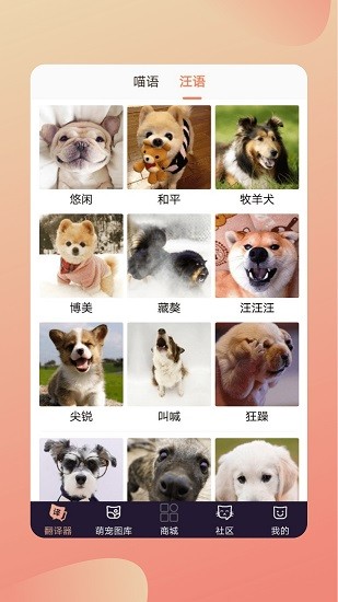 人貓交流翻譯器免費(fèi)版 v2.3.9 安卓版 2