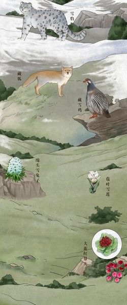 中國(guó)珍稀動(dòng)植物分布圖高清版 中國(guó)珍稀動(dòng)植物分布圖2021最新版