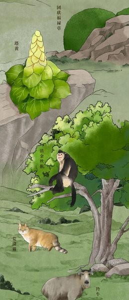 中國(guó)珍稀動(dòng)植物分布圖2021 高清版 1