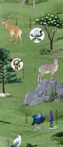 中國(guó)珍稀動(dòng)植物分布圖2021 高清版 2
