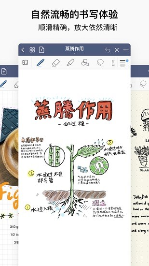 goodnotes5 ios版 v6.2.10 iphone手機版 3